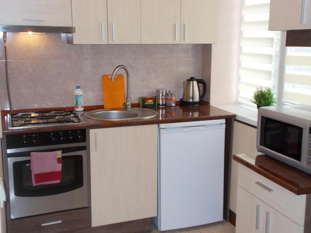 Apartment Near The Forum Mall リヴィウ エクステリア 写真